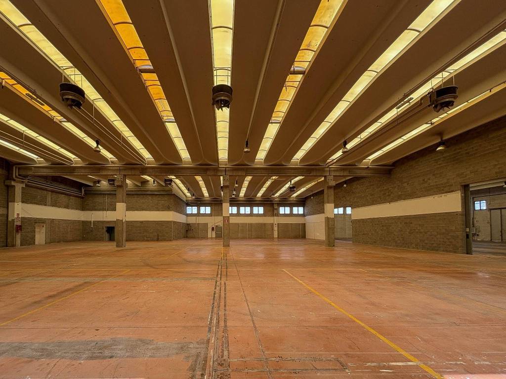 immagine annuncio 3 di 11