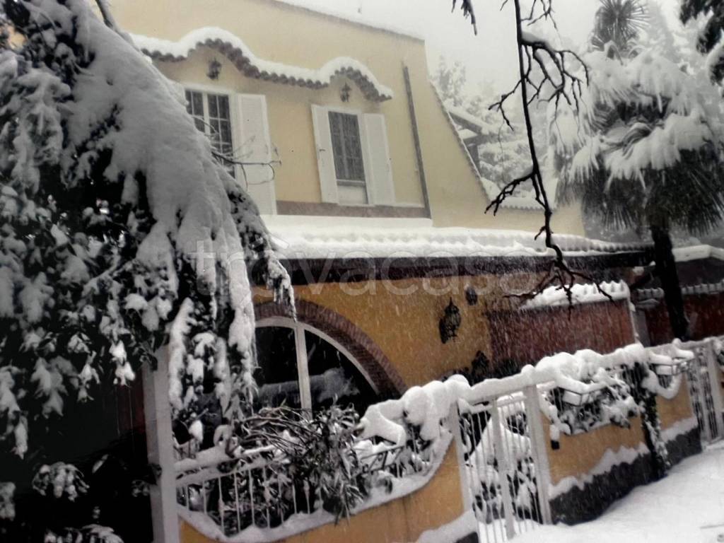 immagine annuncio 2 di 12