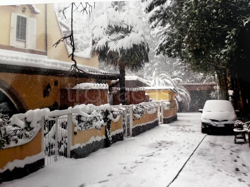immagine annuncio 4 di 12