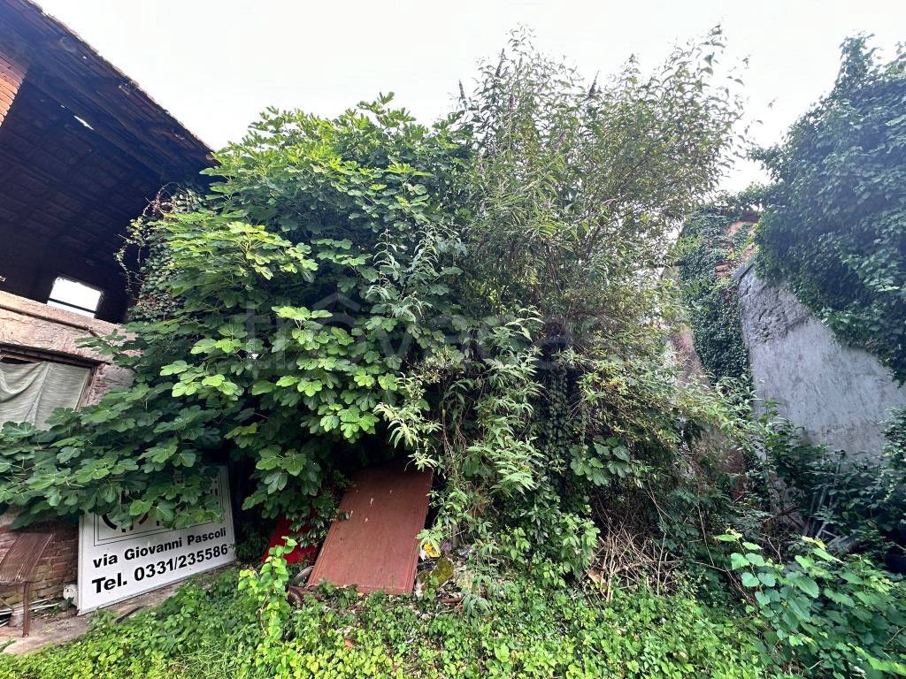 immagine annuncio 2 di 14