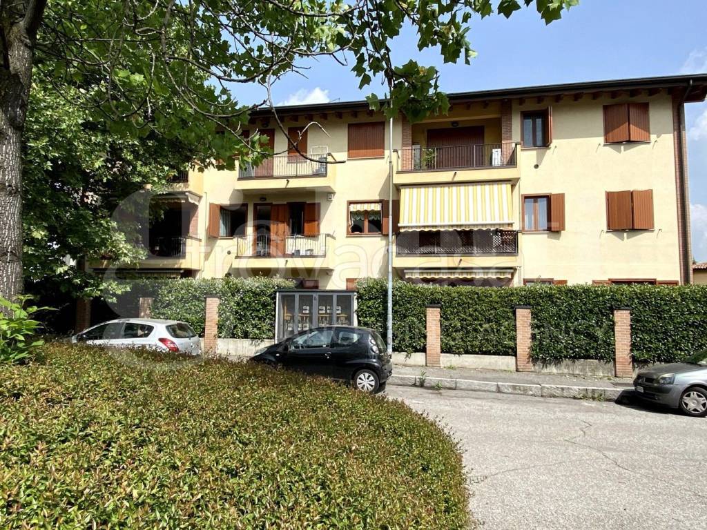 immagine annuncio 1 di 15