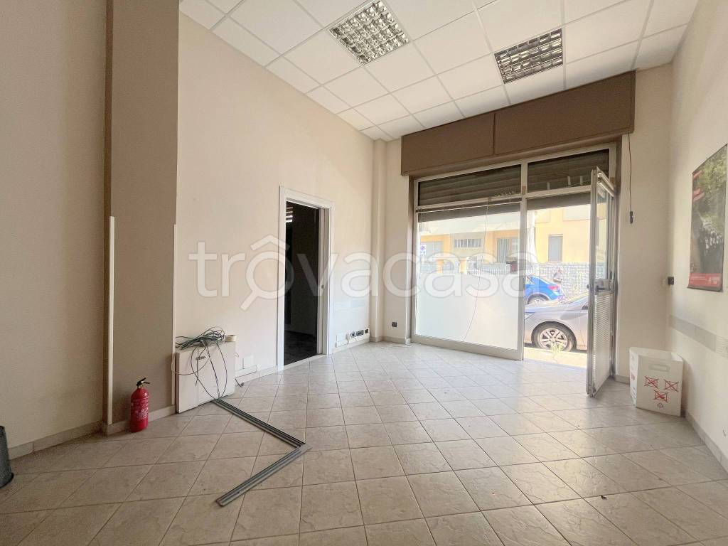immagine annuncio 9 di 15