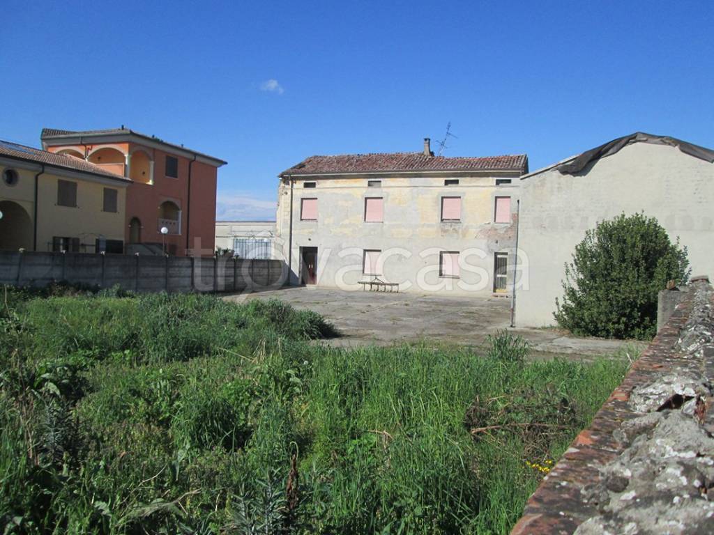 immagine annuncio 5 di 7