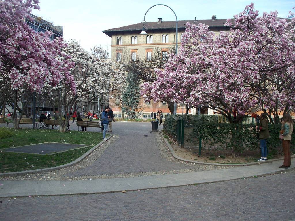 immagine annuncio 1 di 6