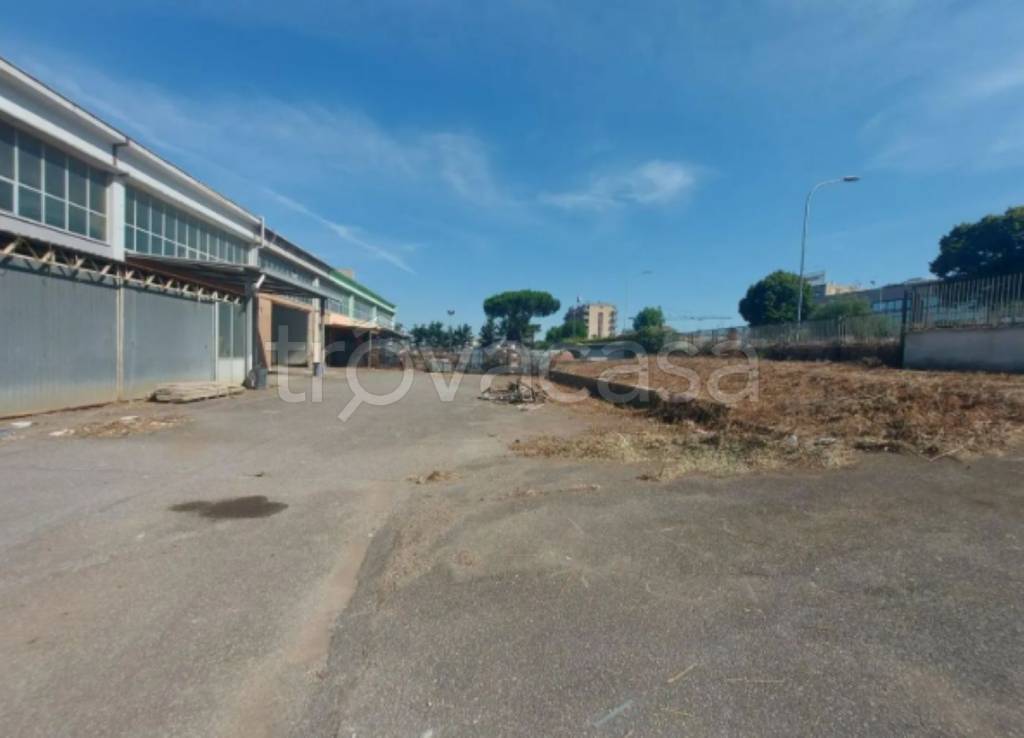 immagine annuncio 7 di 14