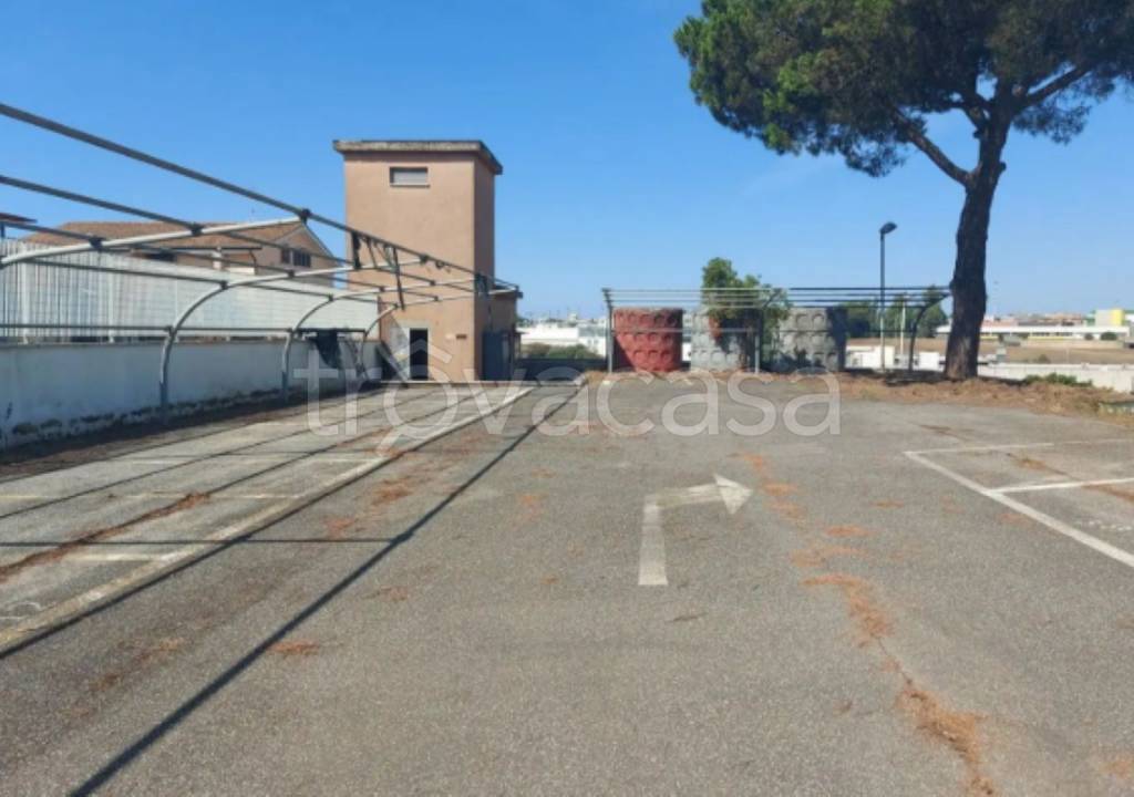 immagine annuncio 12 di 14