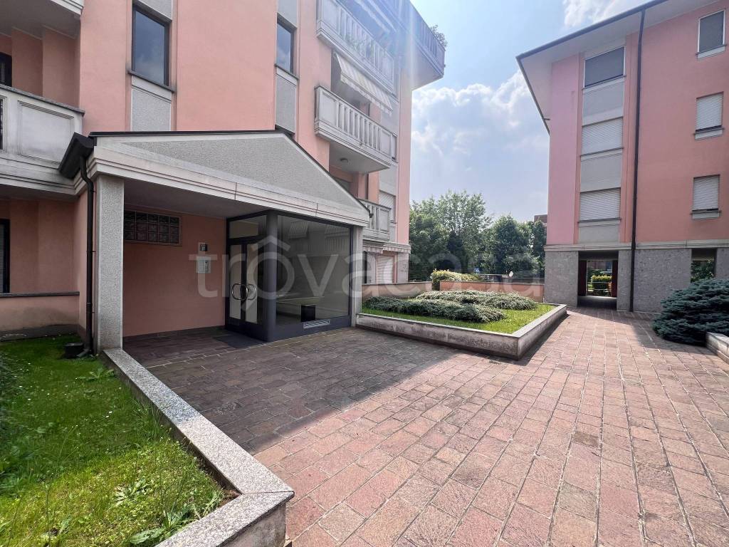 immagine annuncio 2 di 15