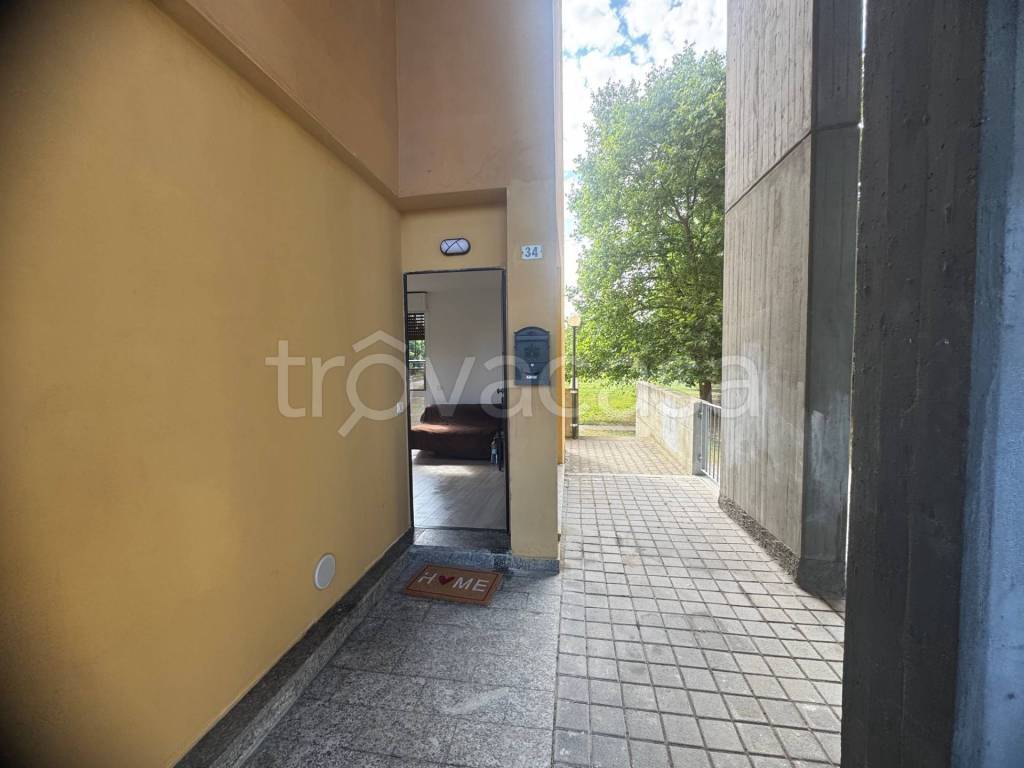 immagine annuncio 7 di 14