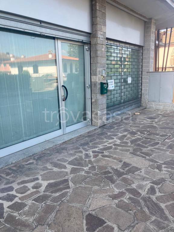 immagine annuncio 2 di 11