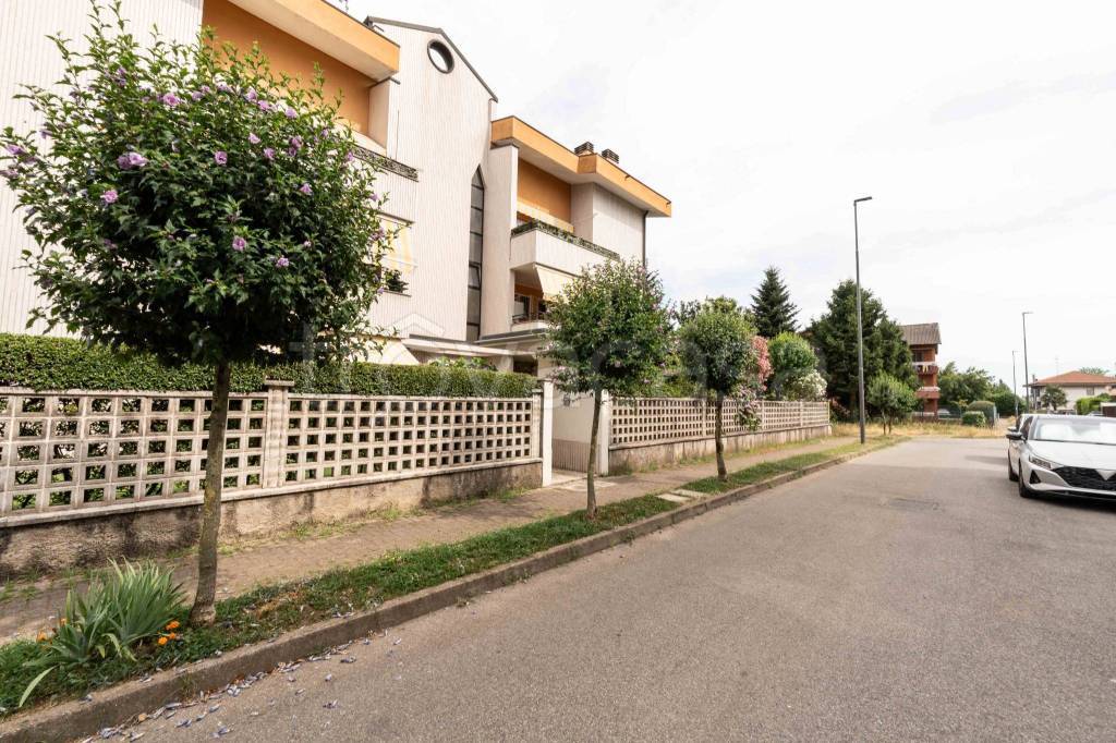 immagine annuncio 3 di 15