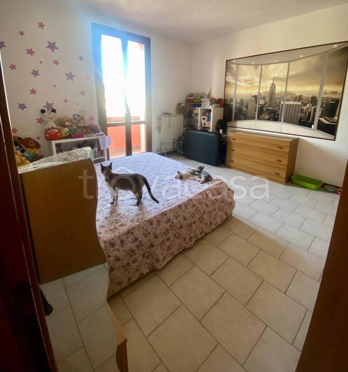 immagine annuncio 1 di 7