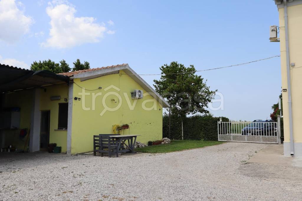 immagine annuncio 12 di 14