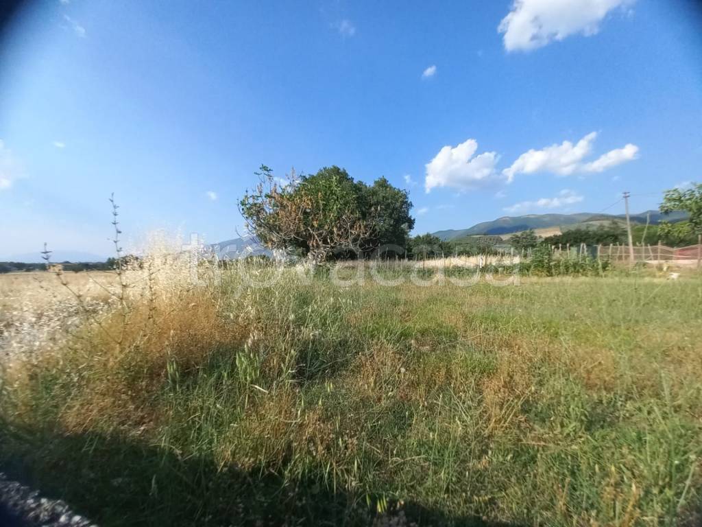 immagine annuncio 3 di 12