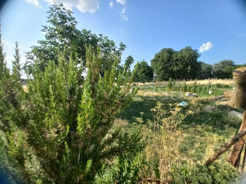 immagine annuncio 6 di 12
