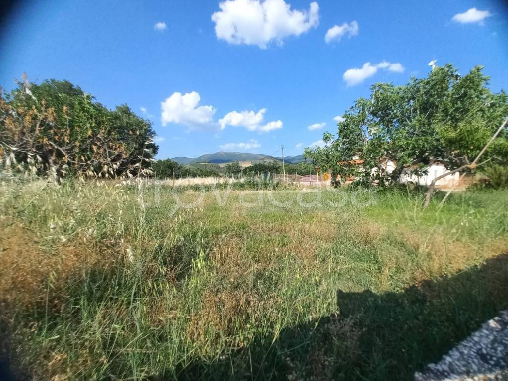 immagine annuncio 8 di 12