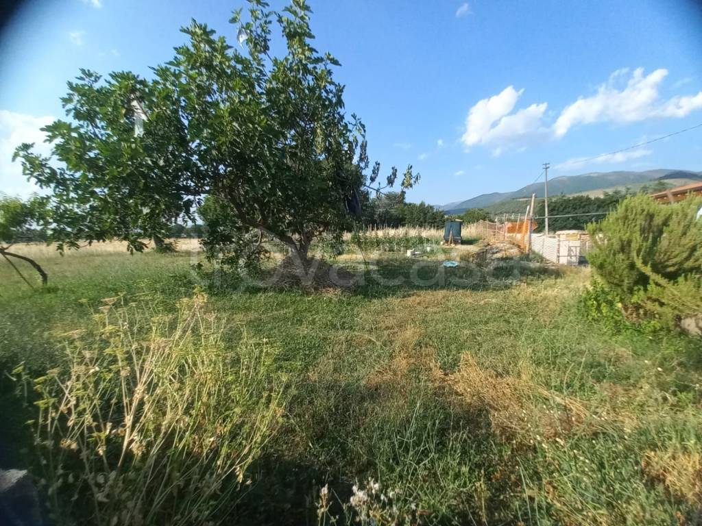 immagine annuncio 9 di 12