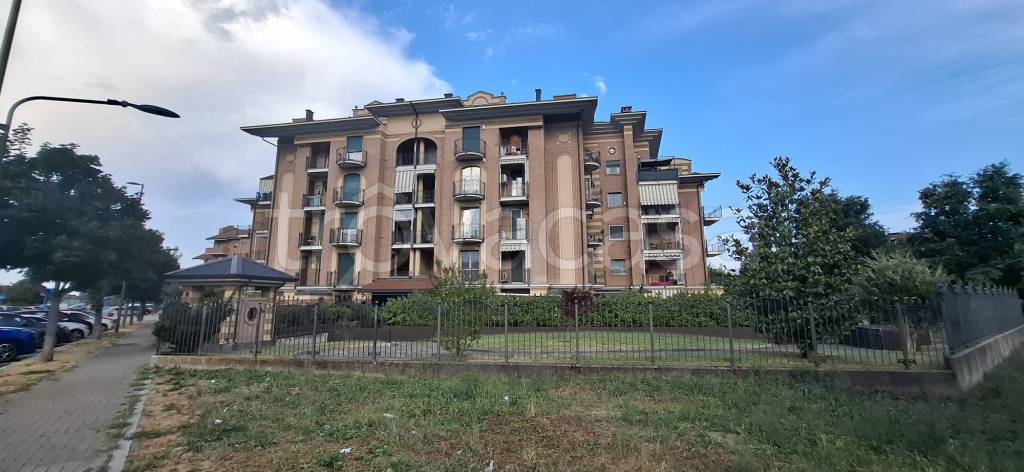 immagine annuncio 3 di 15