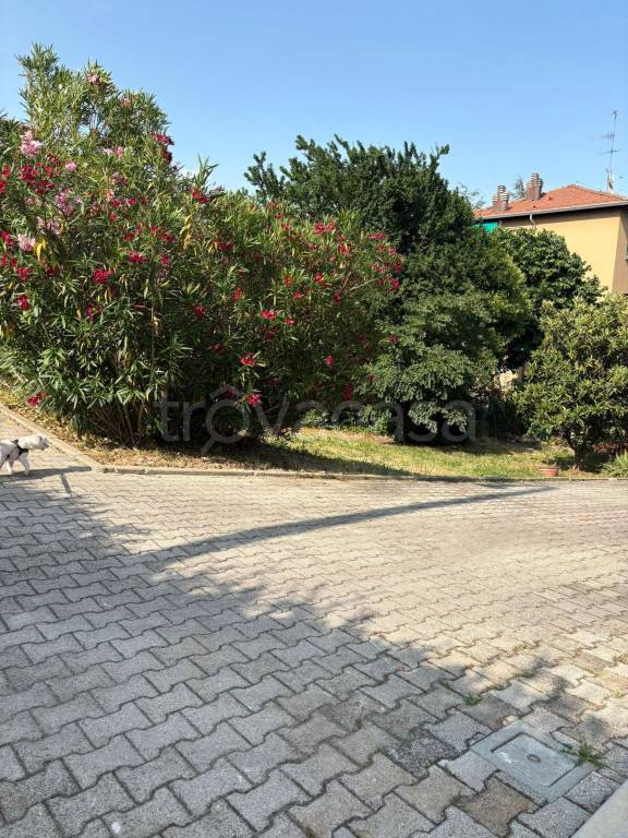 immagine annuncio 9 di 13