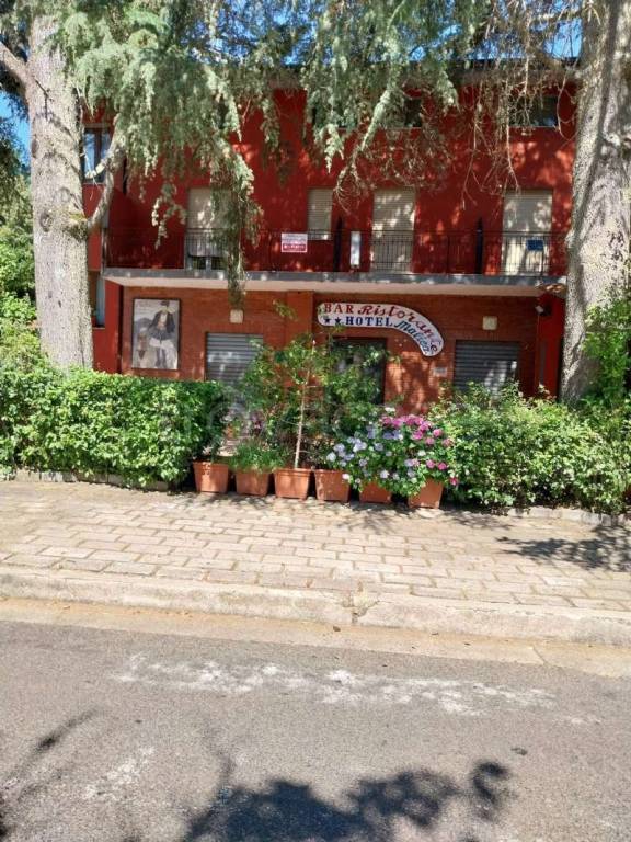 immagine annuncio 11 di 12