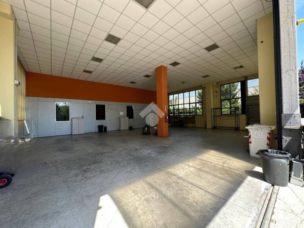 immagine annuncio 11 di 15