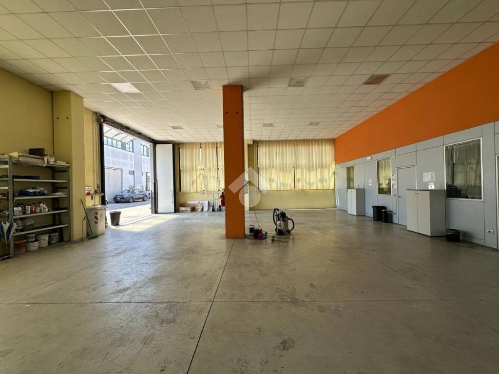immagine annuncio 9 di 15