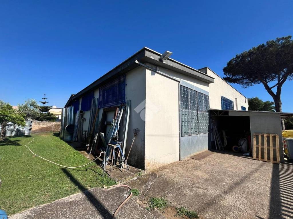 immagine annuncio 2 di 15