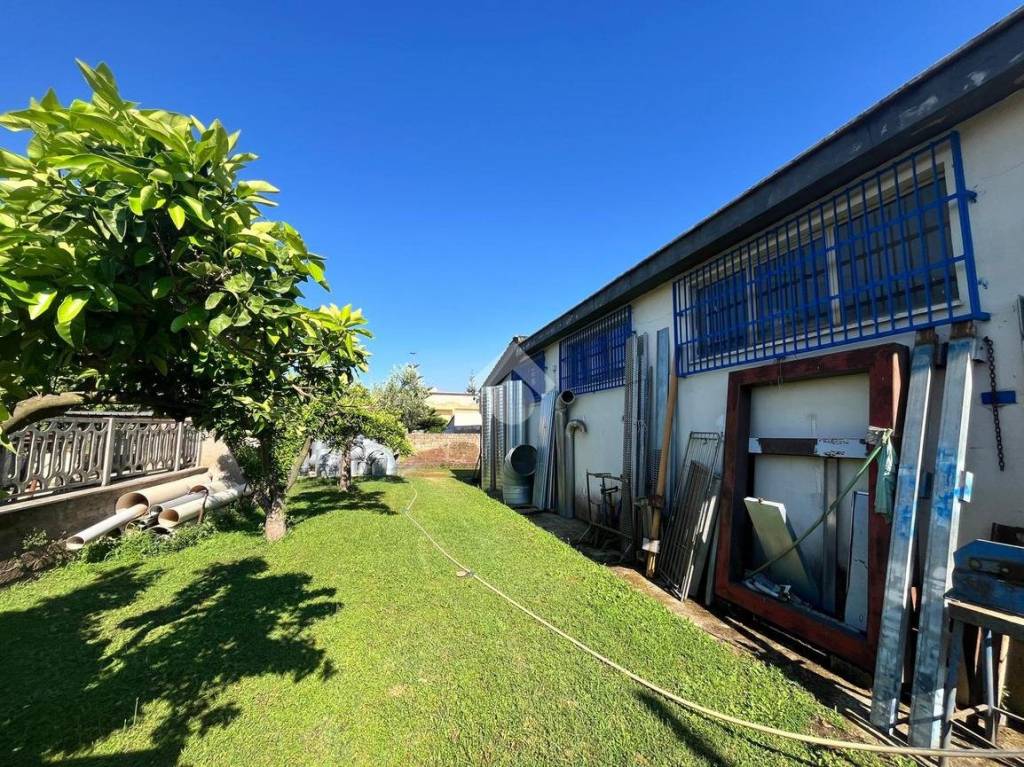 immagine annuncio 1 di 15