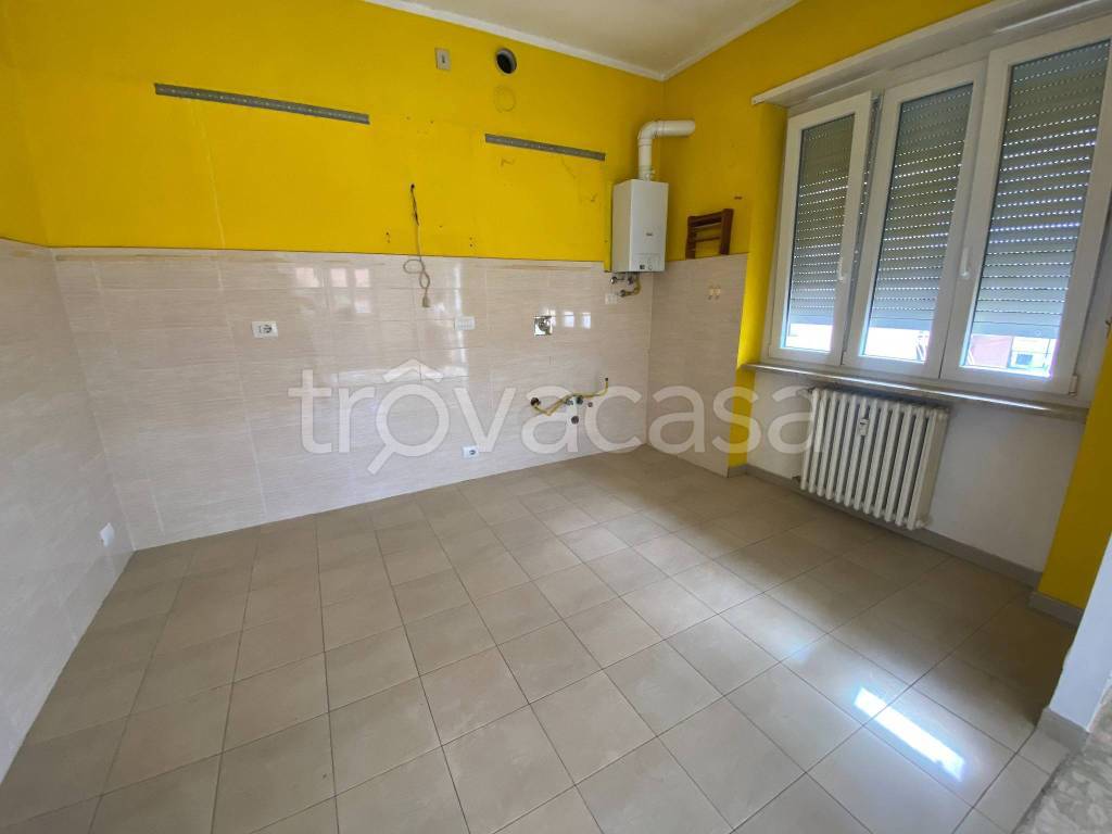 immagine annuncio 7 di 14