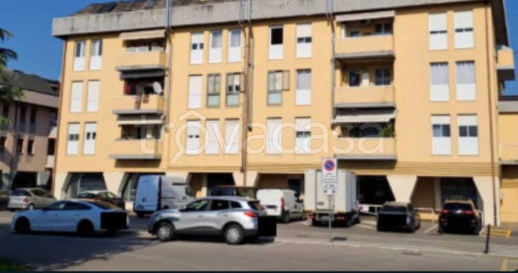 immagine annuncio 2 di 11