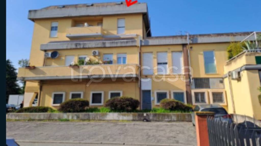 immagine annuncio 3 di 11