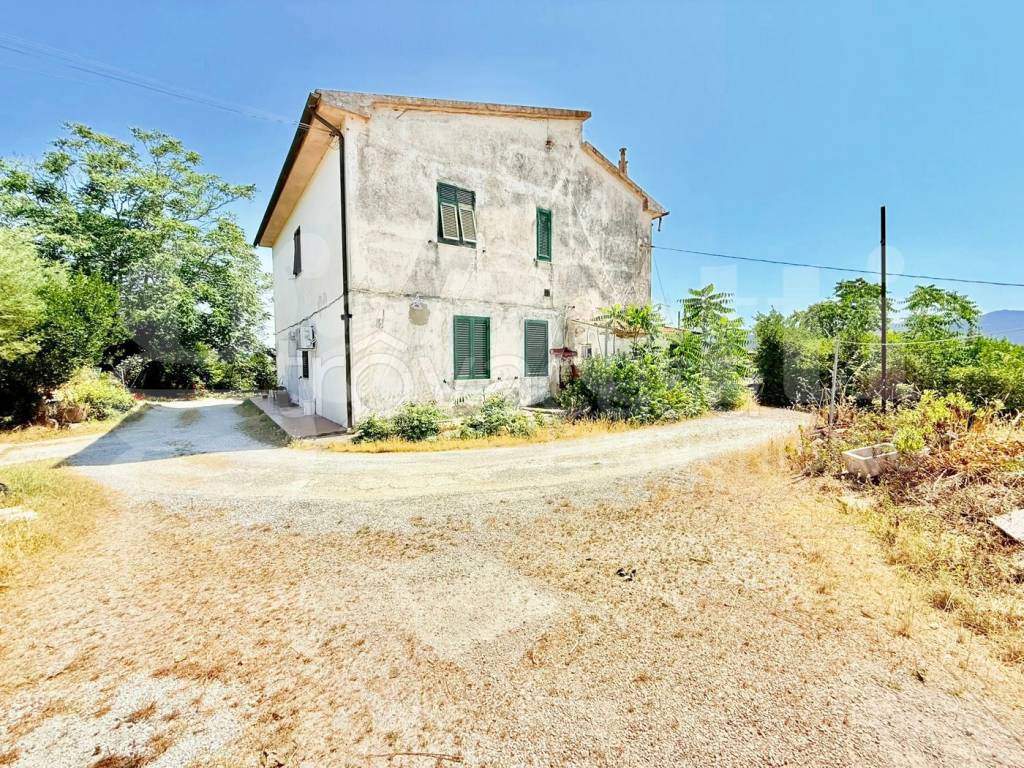 immagine annuncio 3 di 7