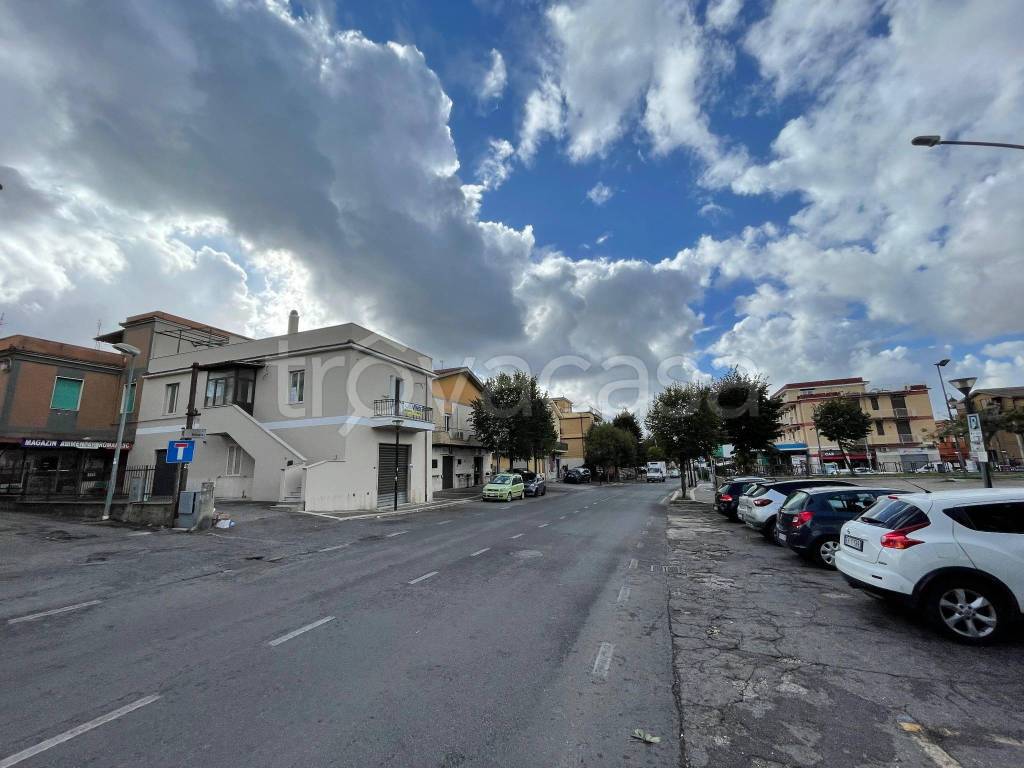 immagine annuncio 5 di 12