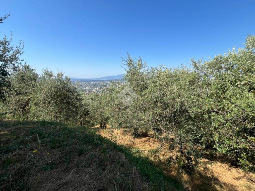 immagine annuncio 4 di 11