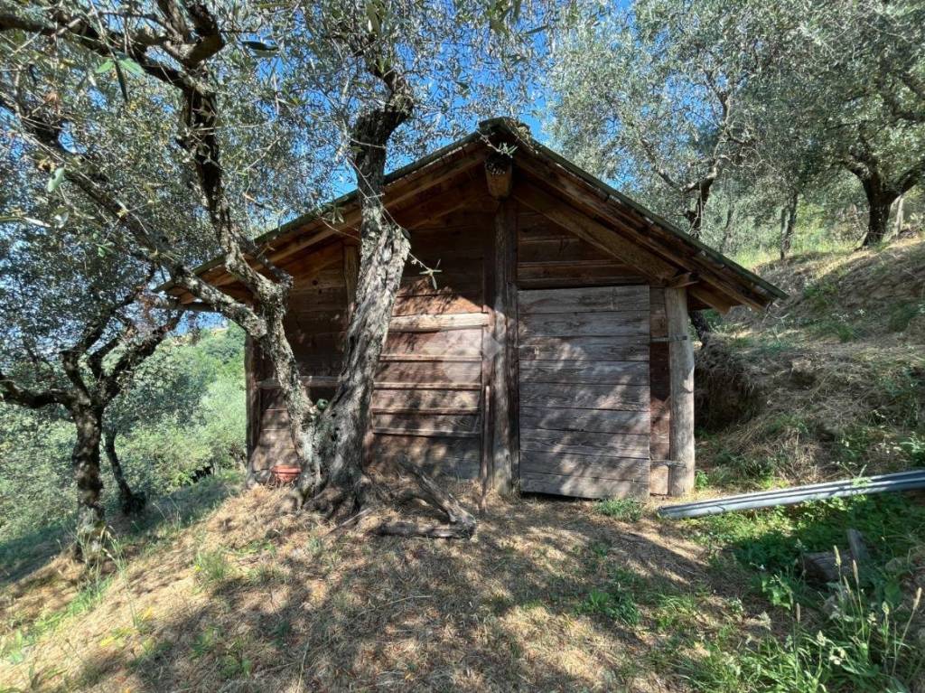 immagine annuncio 5 di 11