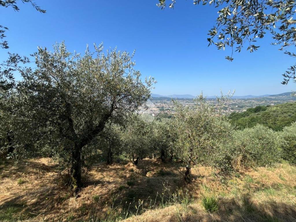 immagine annuncio 7 di 11