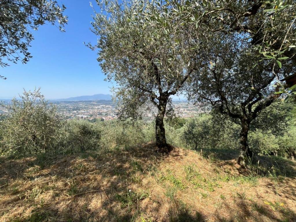 immagine annuncio 9 di 11