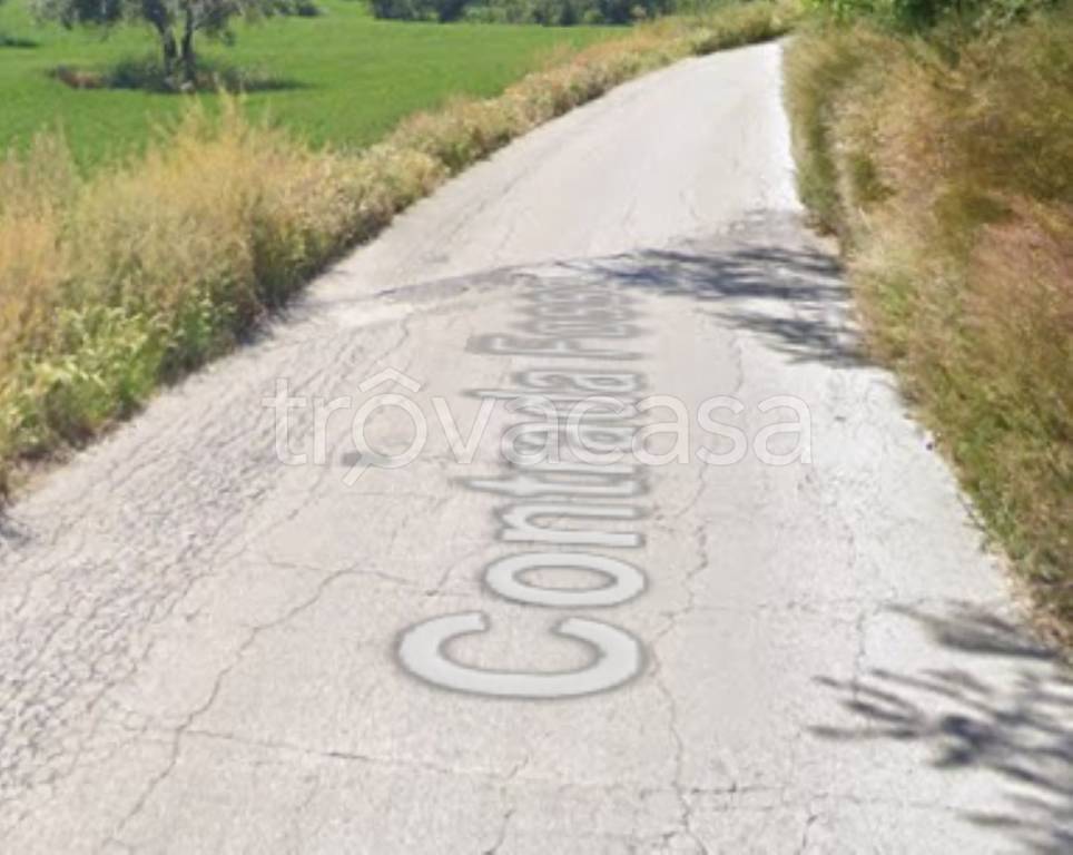 immagine annuncio 3 di 12