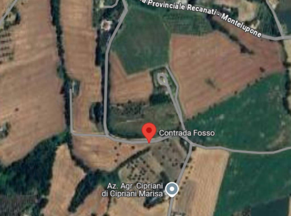 immagine annuncio 6 di 12