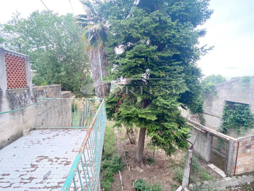 immagine annuncio 4 di 8