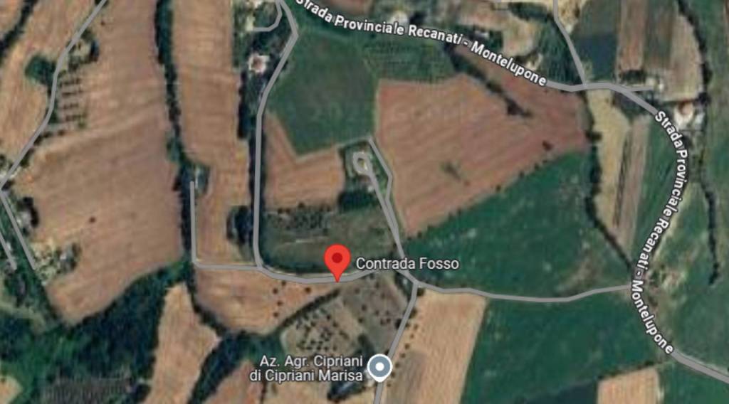 immagine annuncio 8 di 13