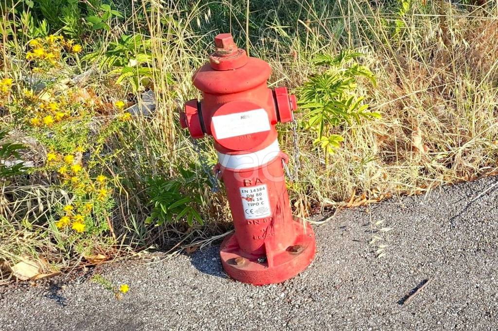 immagine annuncio 6 di 14