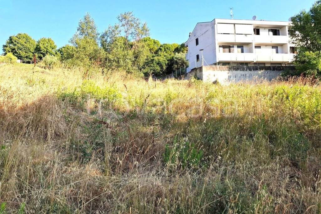 immagine annuncio 4 di 14