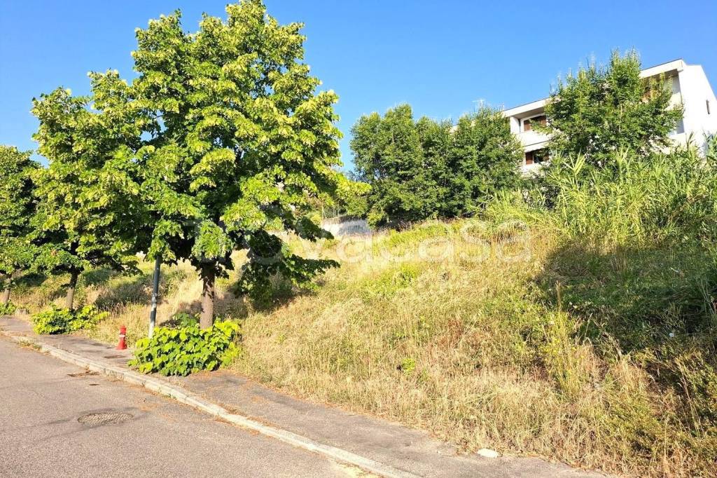 immagine annuncio 2 di 14