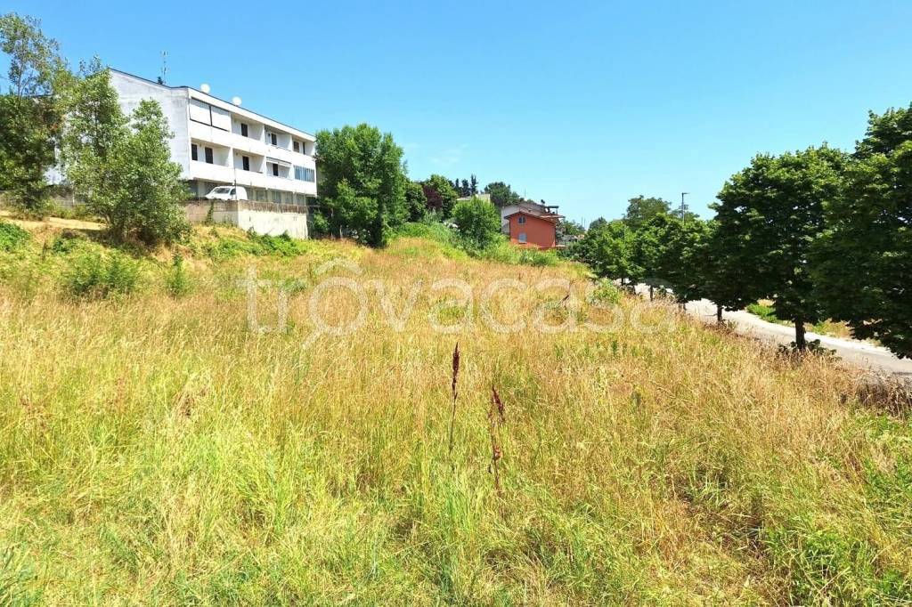 immagine annuncio 3 di 14