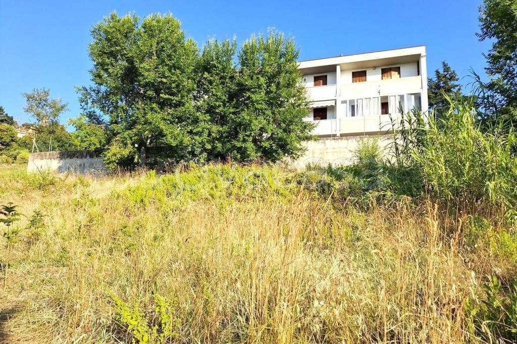 immagine annuncio 4 di 14