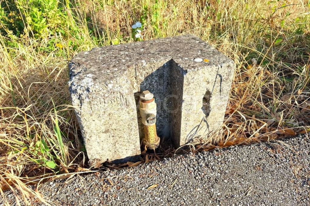 immagine annuncio 7 di 14