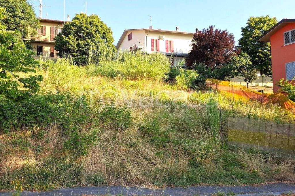 immagine annuncio 2 di 14