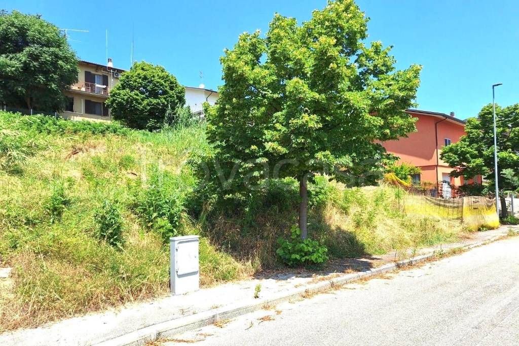 immagine annuncio 4 di 14