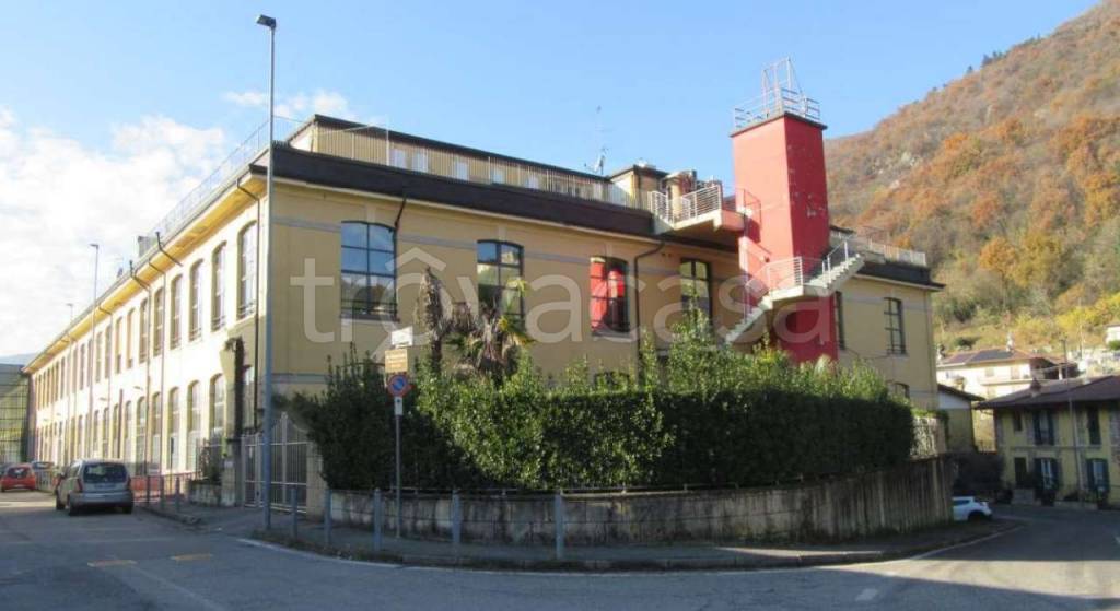 immagine annuncio 9 di 13