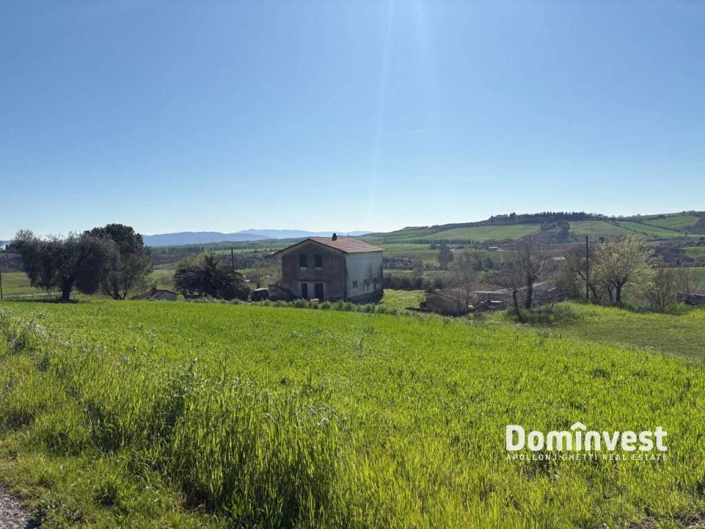 immagine annuncio 3 di 4